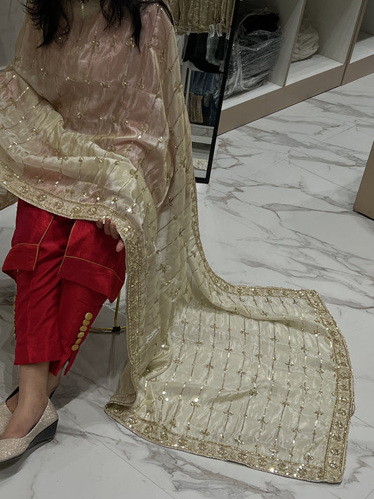 Cut Dana Sequence Handwork Dyeable Dupatta