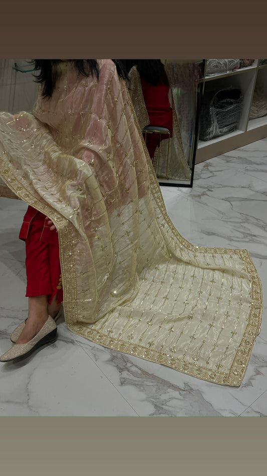 Cut Dana Sequence Handwork Dyeable Dupatta